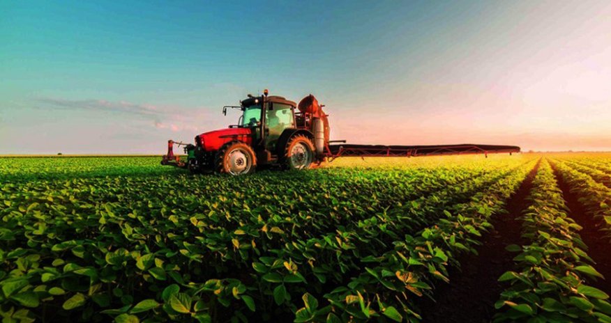 Naxçıvanın aqrar sektoru 1 %-dən çox kiçilib