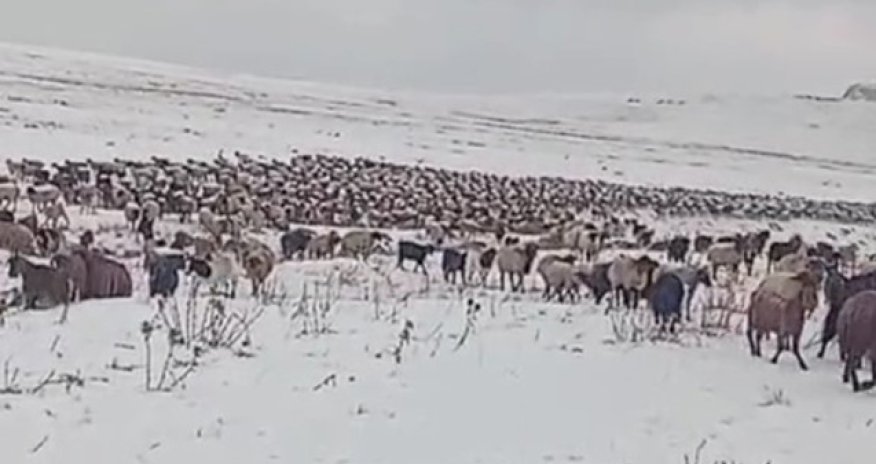 Kəlbəcər və Laçına qar yağıb - Video