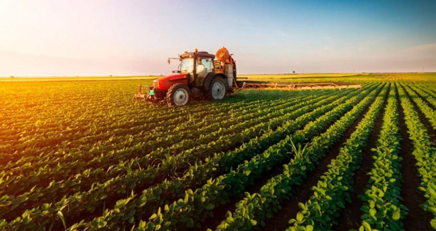 Azərbaycanda kənd təsərrüfatı istehsalı bu il 1%-ə yaxın azalıb