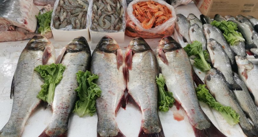 Bakıda balıq yarmarkası fəaliyyətə başlayıb