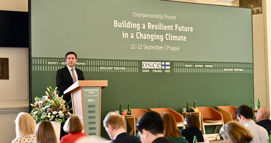 Yalçın Rəfiyev Çex Respublikasına səfər edib