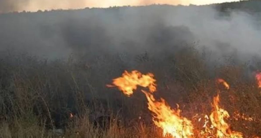 Qızılağac Milli Parkının ərazisində yanğın olub