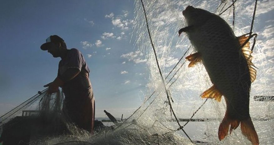 Azərbaycanda qanunsuz balıq ovlayan vətəndaşlar müəyyən olunub