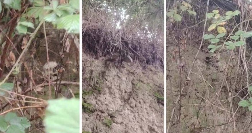 Qubada insan sümükləri tapılıb