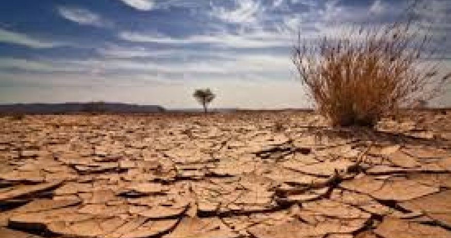 2025-ci ilin avqustu Avropada son on ilin ən quraq ayı olub