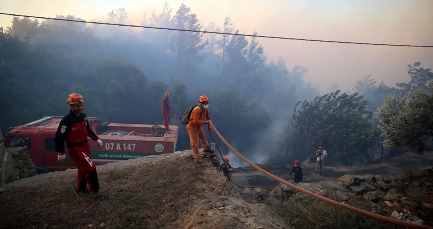 Türkiyədə meşə yanğınlarında həlak olanlara şəhid statusu veriləcək