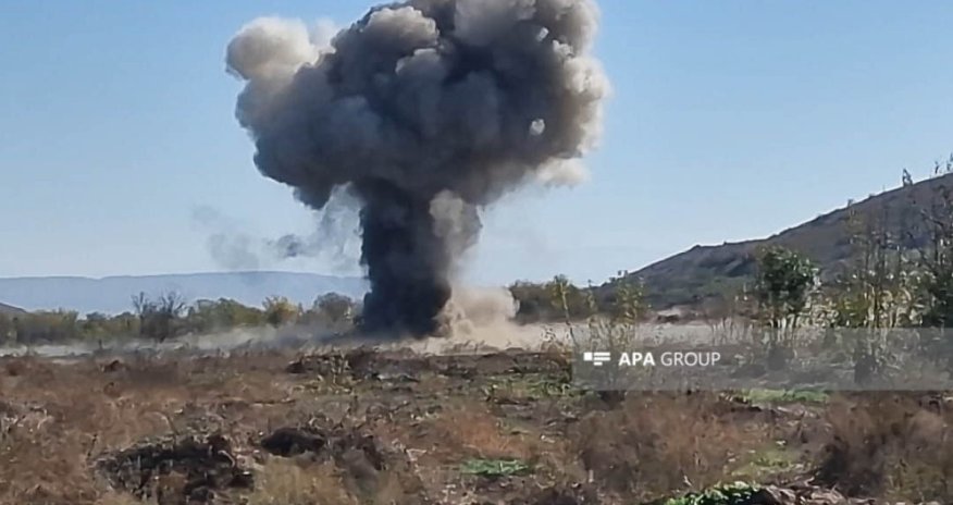 Goranboyda heyvanlar minaya düşüb