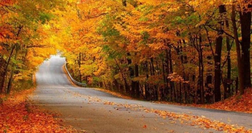 Azərbaycana payız gəlib