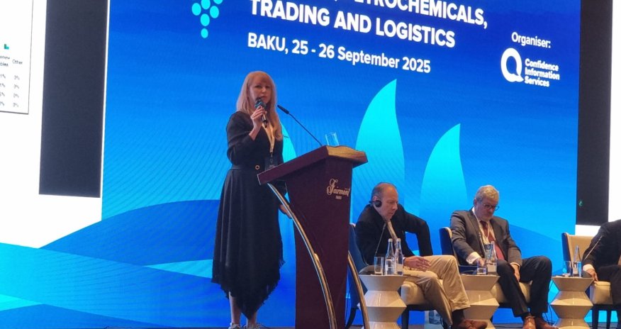 Son on ildə bəzi ölkələrdə təbii qaz hasilatında artım qeydə alınıb - "NAANS-Media"nın icraçı direktoru