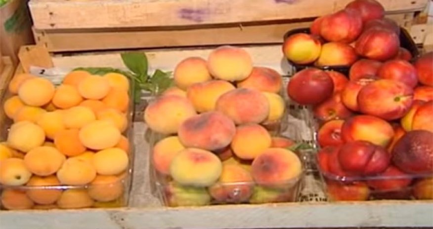 Səkkiz ayda meyvə-tərəvəz idxalında 1,35% artım olub