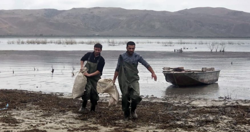Qanunsuz balıq ovu ilə bağlı iki fakt üzrə 9,198 manatlıq ekoloji zərər qeydə alınıb