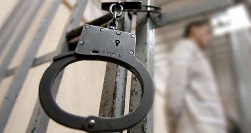 Oğuzda fıstıq ağaclarının qanunsuz kəsilməsi ilə bağlı cinayət işi başlanıb