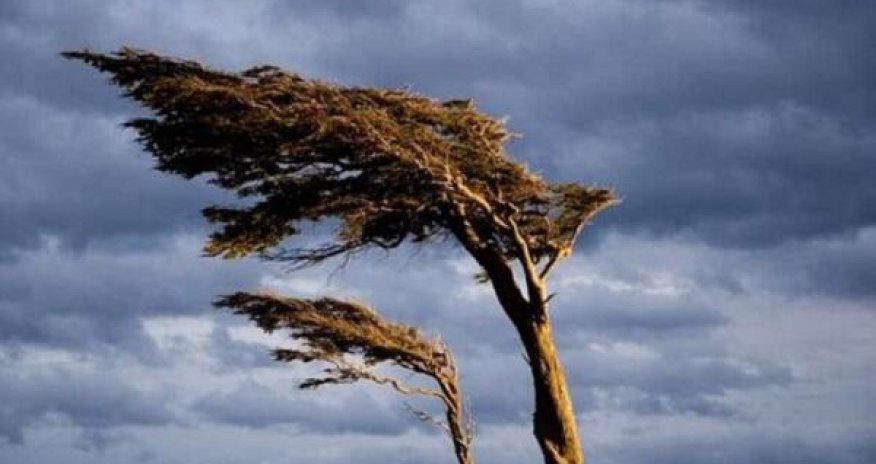 Küləkli hava şəraiti ilə bağlı sarı və narıncı xəbərdarlıq verilib