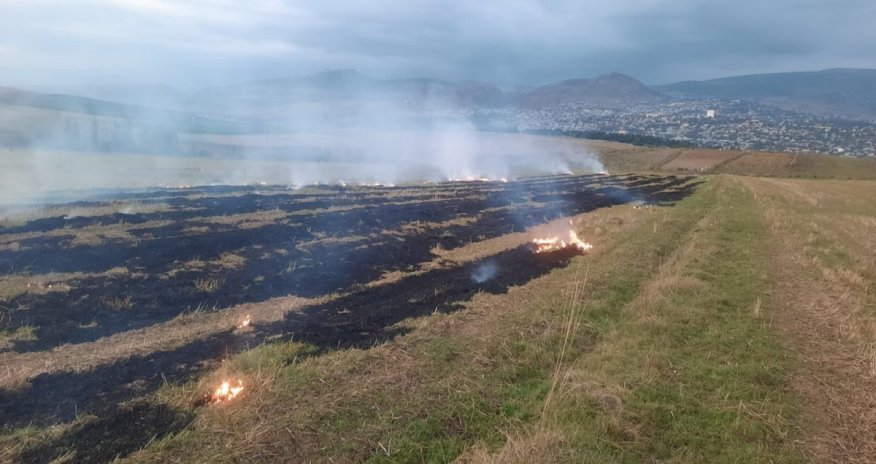 Şamaxıda yanğın törədən şəxs məsuliyyətə cəlb olunub
