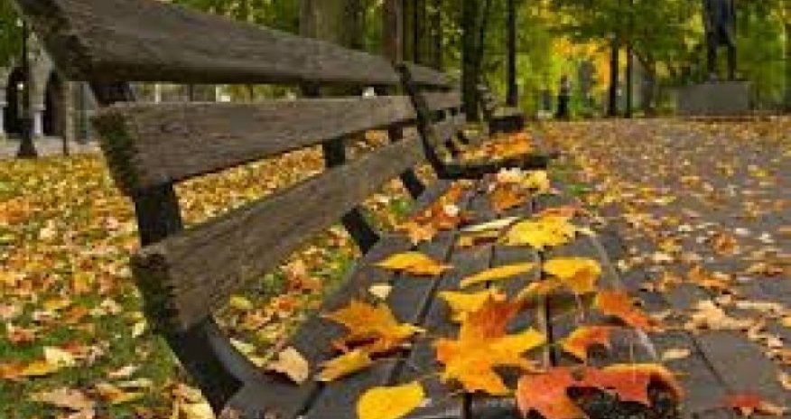 Sabahın hava proqnozu