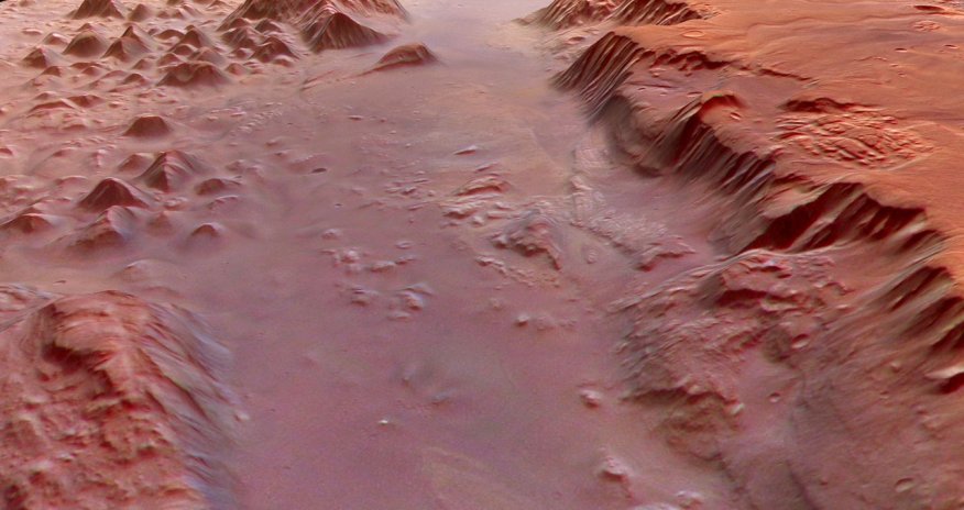 NASA scientists propose mushroom-based habitats on Mars