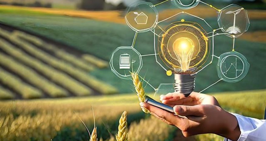 Azerbaijan prepares roadmap for AI application in agricultural sector