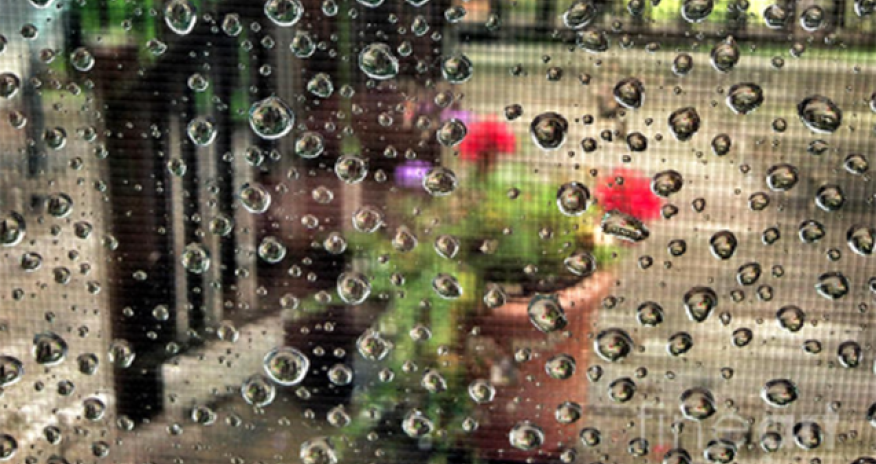 Sabahın hava proqnozu açıqlanıb