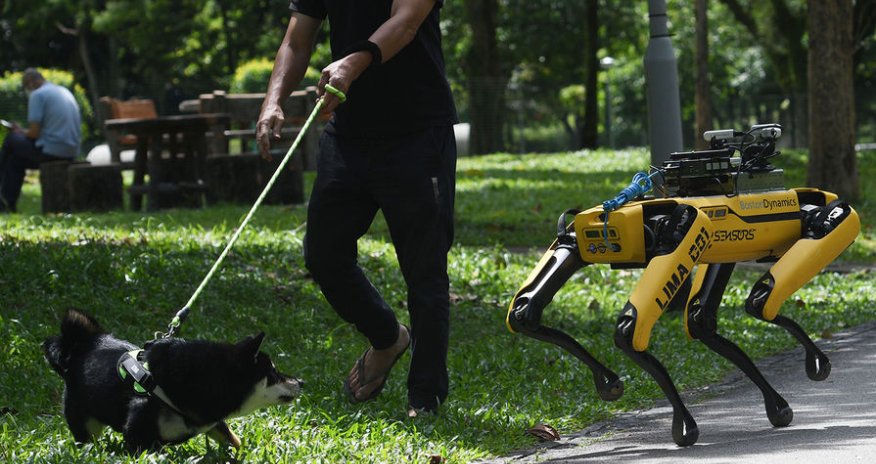 Çin alimləri Ay missiyaları üçün robot itləri lava mağaralarında sınaqdan keçirir