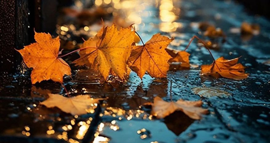 Sabah bəzi rayonlarda yağış gözlənilir - Hava proqnozu