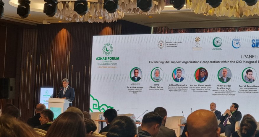 KOBİA ilə birgə həyata keçirilən proqramlar yaşıl iqtisadiyyatın təşviqində mühüm nəticələr verib