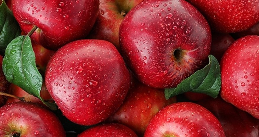 Alma ixracının həcmi artıb