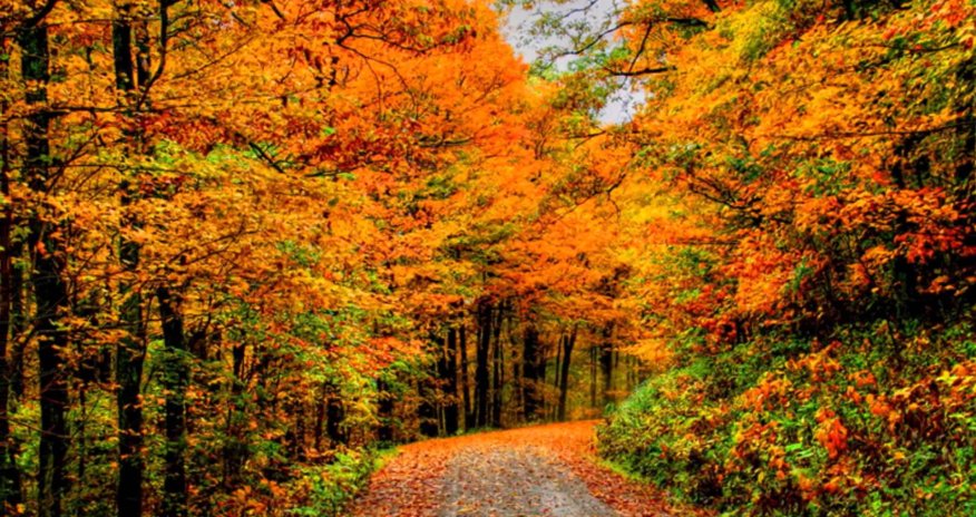 Temperatures in Azerbaijan to rise to 28&deg;C on Wednesday
