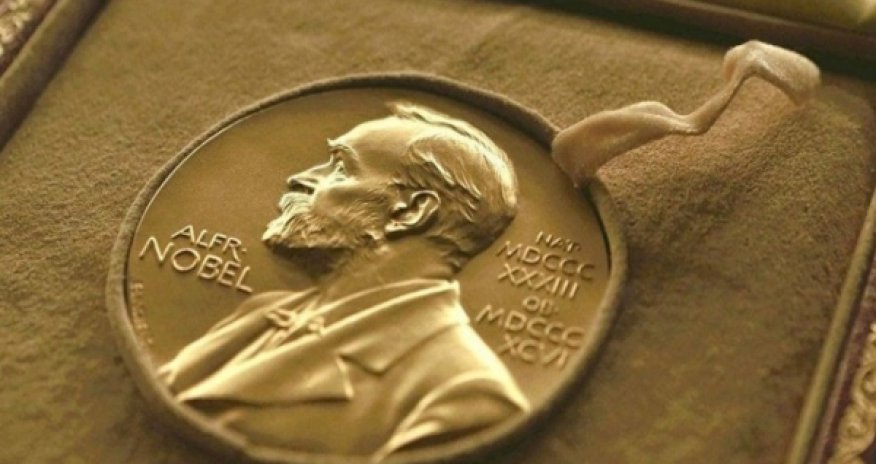 Nobel Prize in Chemistry awarded for work on metal-organic frameworks