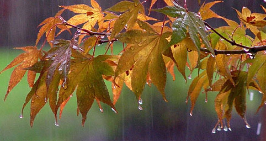 Sabah bəzi rayonlara yağış və sulu qar yağacaq - XƏBƏRDARLIQ