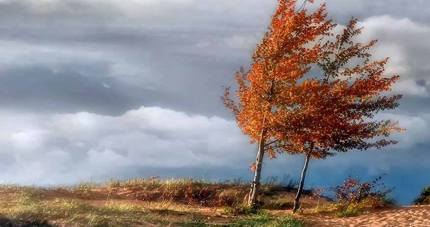 Faktiki hava açıqlanıb