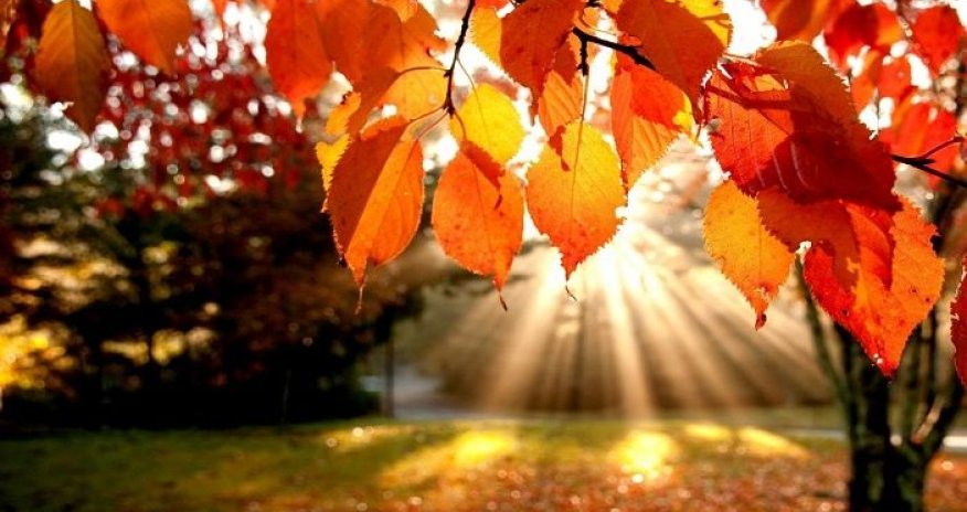 Sabahın hava proqnozu