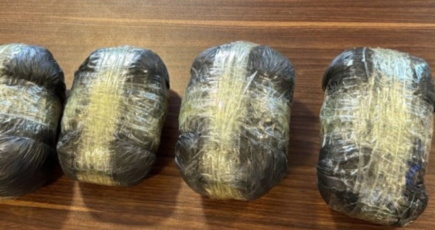 DTX və DSX Azərbaycan-İran sərhədində əməliyyat keçirib