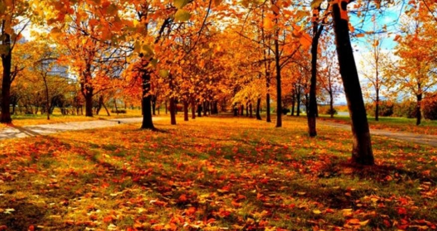 Sabahın hava proqnozu