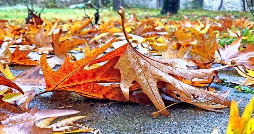 Sabahın hava proqnozu