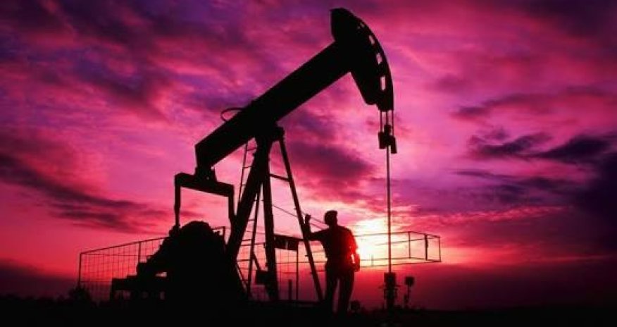 Индия планирует начать добычу нефти в Западной Грузии