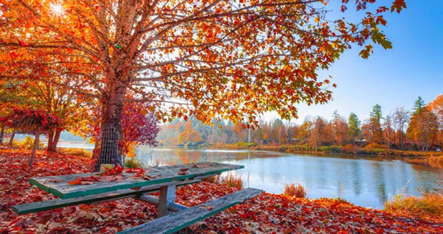 Sabahın hava proqnozu açıqlanıb