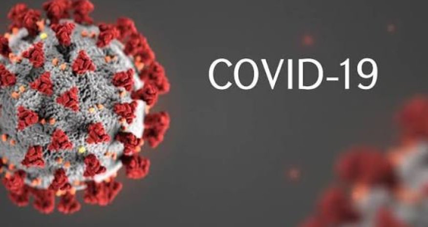 Новый штамм COVID-19 &laquo;Франкенштейн&raquo; выявлен в Турции