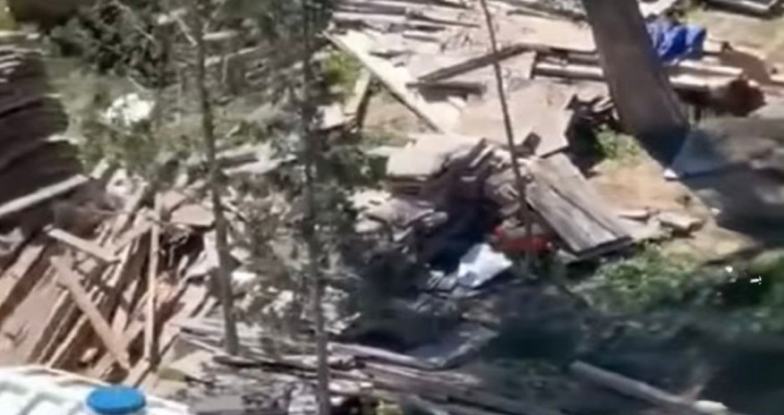 
Sumqayıtda ağac kəsilməsi faktı üzə araşdırma aparılır