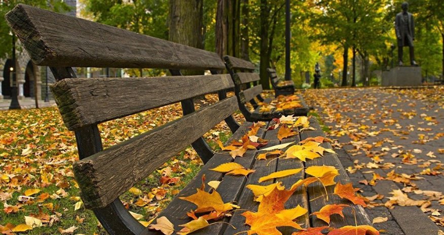 Sabahın hava proqnozu açıqlanıb