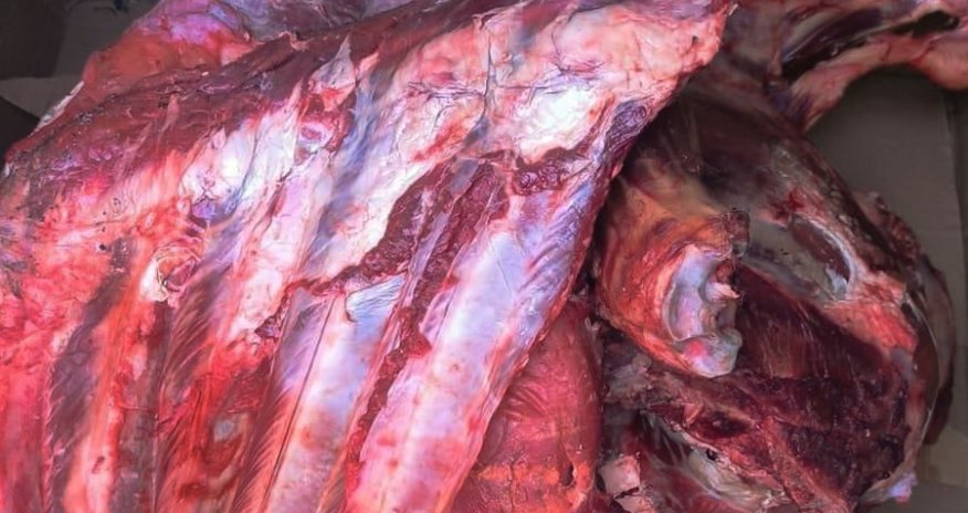 AQTA: Son günlər şadlıq saraylarında mənşəyi məlum olmayan ətlər aşkarlanıb