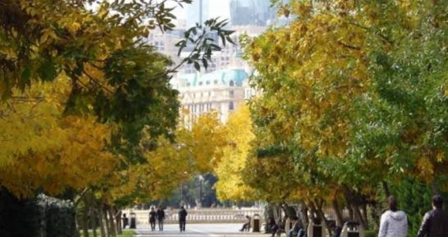 Sabahın hava proqnozu açıqlanıb