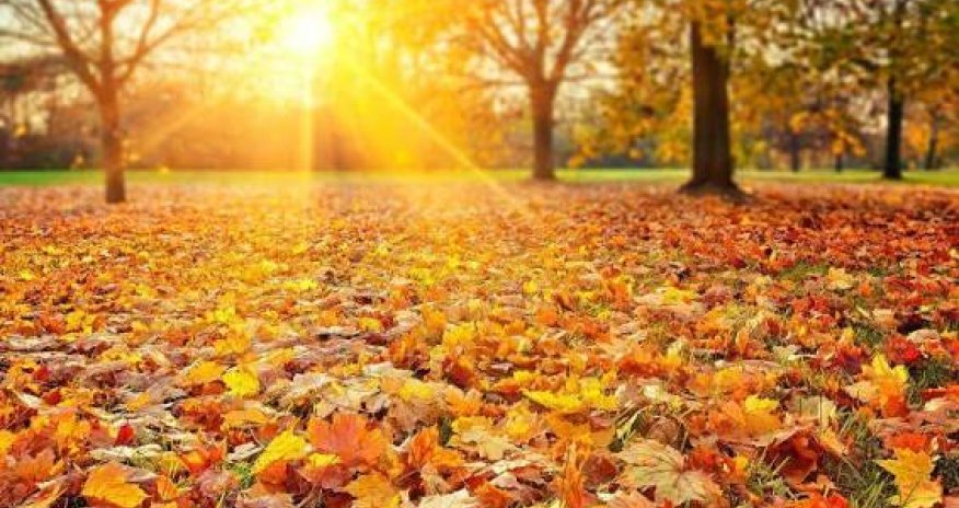 Sabah 24 dərəcə isti olacaq - PROQNOZ