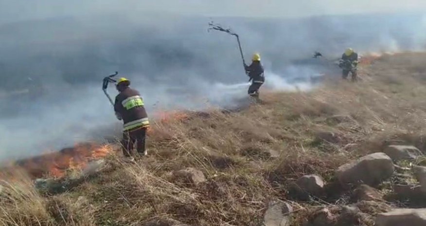 Gədəbəydə dağlıq ərazidə yanğın başlayıb - Video