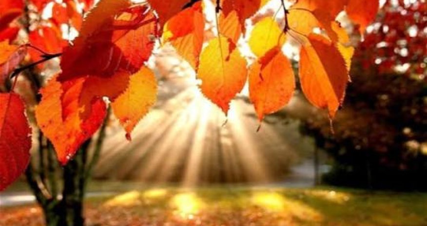 Sabah 21 dərəcə isti olacaq - PROQNOZ