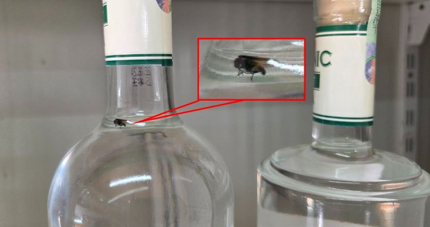 В Азербайджане обнаружили поддельную водку с насекомыми