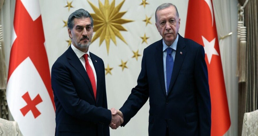 Türkiyə və Gürcüstan prezidentləri təyyarə qəzası ilə bağlı son durumu müzakirə ediblər