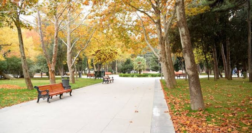 Sabahın hava proqnozu