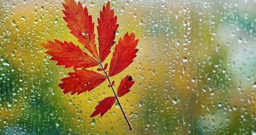 В регионах Азербайджана выпали осадки - фактическая погода