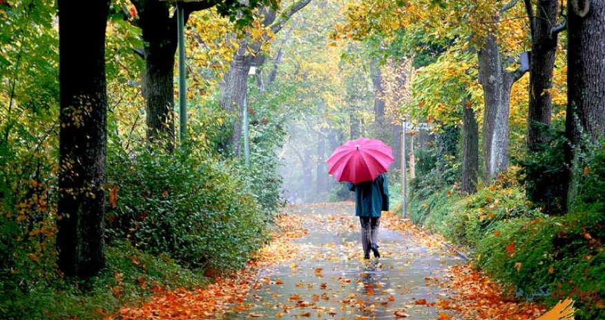 В Баку и на Абшероне ожидается пасмурная погода, в ряде районов - ливни