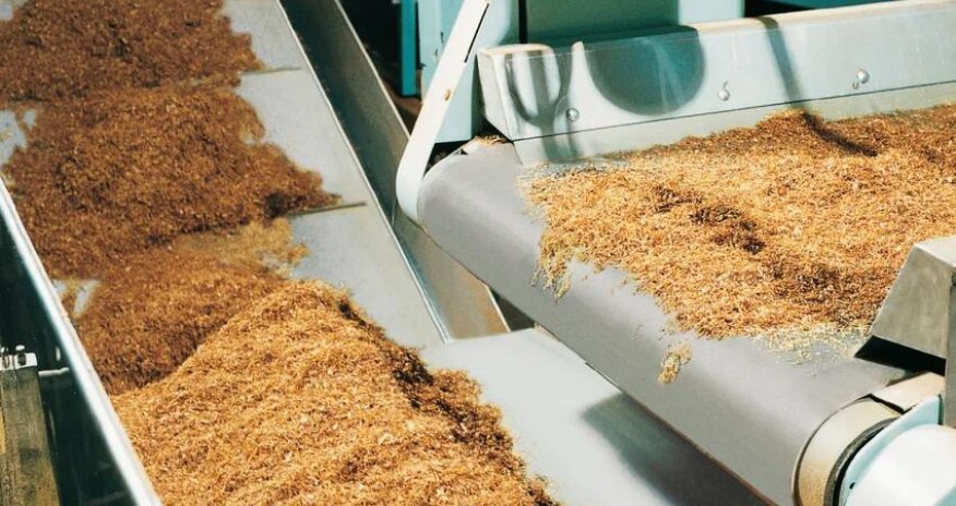 Ölkədə tütün istehsalı azalıb